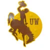 UW Bucking Horse Hitch Cover – Brown/Gold