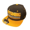 Wyoming Cowboys Pitch A Fit Youth Hat – Brown