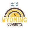 Wyoming Cowboys Brinley Decal – Brown/Gold